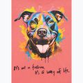 Футболка жіноча Pitbull Watercolor coral 9