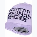 Кепка Pitbull Snapback Since 1989 Classic lilac 3