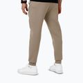 Штани чоловічі Pitbull Dogwood Track Pants dark sand 2