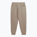 Штани чоловічі Pitbull Dogwood Track Pants dark sand 2