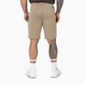 Шорти чоловічі Pitbull Dogwood Sport dark sand 4