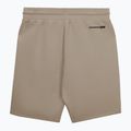 Шорти чоловічі Pitbull Dogwood Sport dark sand 2