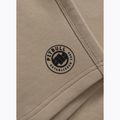 Шорти чоловічі Pitbull Dogwood Sport dark sand 5