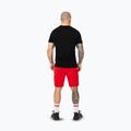Шорти чоловічі Pitbull Dogwood Sport fluo/red 3
