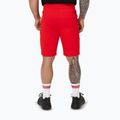 Шорти чоловічі Pitbull Dogwood Sport fluo/red 4