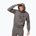 Чоловіча худі Pitbull Sampson Hooded Zip Sweatshirt taupe 6