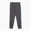 Штани чоловічі Pitbull Sampson Track Pants graphite 2