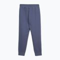 Штани чоловічі Pitbull Sampson Track Pants navy jeans 2