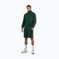 Кофта чоловіча Pitbull Track Jacket Powers bottle green 2