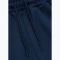 Штани чоловічі Pitbull Track Pants Powers royal blue 3