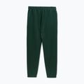 Штани чоловічі Pitbull Track Pants Powers bottle green 5
