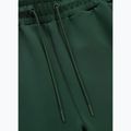 Штани чоловічі Pitbull Track Pants Powers bottle green 6