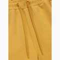 Штани чоловічі Pitbull Track Pants Powers pale yellow 7