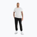 Штани чоловічі Pitbull Track Pants Powers black 2