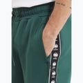 Шорти чоловічі Pitbull Track Shorts Powers bottle green 2