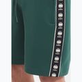 Шорти чоловічі Pitbull Track Shorts Powers bottle green 3