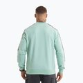 Кофта чоловіча Pitbull Tape Nugget Crewneck Sweatshirt light mint 3