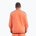 Кофта чоловіча Pitbull Tape Nugget Crewneck Sweatshirt bright salmon 3