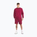 Кофта чоловіча Pitbull Tape Nugget Crewneck Sweatshirt burgundy 2