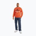 Кофта чоловіча Pitbull Surfing Dog Crewneck Sweatshirt bright salmon 2