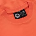 Кофта чоловіча Pitbull Dog Sd Crewneck Sweatshirt bright salmon 3