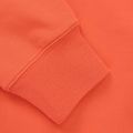 Кофта Pitbull San Diego Sun Hooded Sweatshirt bright salmon 4
