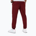 Штани чоловічі Pitbull Nugget Jogging burgundy 2