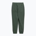 Штани чоловічі Pitbull Lancaster 2 Track Pants sage green 5