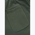 Штани чоловічі Pitbull Lancaster 2 Track Pants sage green 9