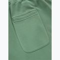 Штани чоловічі Pitbull Lancaster 2 Track Pants washed green 8