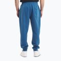 Штани чоловічі Pitbull Lancaster 2 Track Pants shade blue 4