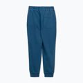 Штани чоловічі Pitbull Lancaster 2 Track Pants shade blue 8
