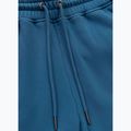 Штани чоловічі Pitbull Lancaster 2 Track Pants shade blue 9