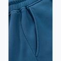 Штани чоловічі Pitbull Lancaster 2 Track Pants shade blue 11