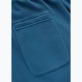 Штани чоловічі Pitbull Lancaster 2 Track Pants shade blue 12
