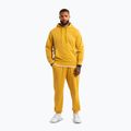 Штани чоловічі Pitbull Lancaster 2 Track Pants washed yellow 2