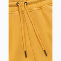 Штани чоловічі Pitbull Lancaster 2 Track Pants washed yellow 8