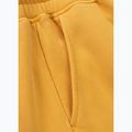 Штани чоловічі Pitbull Lancaster 2 Track Pants washed yellow 10