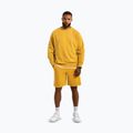 Шорти чоловічі Pitbull Lancaster 2 washed yellow 2