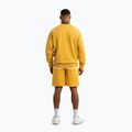 Шорти чоловічі Pitbull Lancaster 2 washed yellow 4