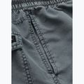 Шорти для плавання чоловічі Pitbull Balfour field grey 7