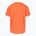 Футболка чоловіча Pitbull San Diego Ins. fluo orange 5
