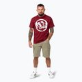Футболка чоловіча Pitbull Logo Palms burgundy 2