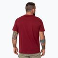 Футболка чоловіча Pitbull Logo Palms burgundy 3