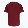 Футболка чоловіча Pitbull Logo Palms burgundy 5