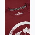 Футболка чоловіча Pitbull Logo Palms burgundy 6