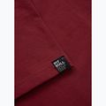Футболка чоловіча Pitbull Logo Palms burgundy 8