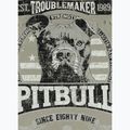 Футболка чоловіча Pitbull Troublemarker dusty salvia 5