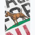 Футболка чоловіча Pitbull California white 5