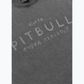 Футболка чоловіча Pitbull Mt. Fuji washed grey 4